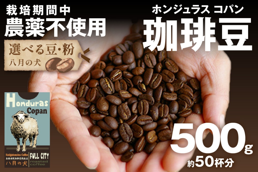 【栽培期間中農薬不使用】自家焙煎コーヒー豆 ホンジュラス　コパン 500g（250g×2） 約50杯分 小分け　豆・粉 選べる　HA00012
