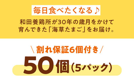 平飼い 海草たまご 5パック（50個入り）割れ保証あり 愛媛県大洲市/和田養鶏所 卵 たまご 鶏卵 卵料理 玉子[AGDQ002]