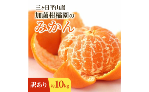 【訳あり】三ヶ日平山産 加藤柑橘園のみかん 約10kg みかん ミカン 蜜柑 青島みかん フルーツ 静岡 浜松市