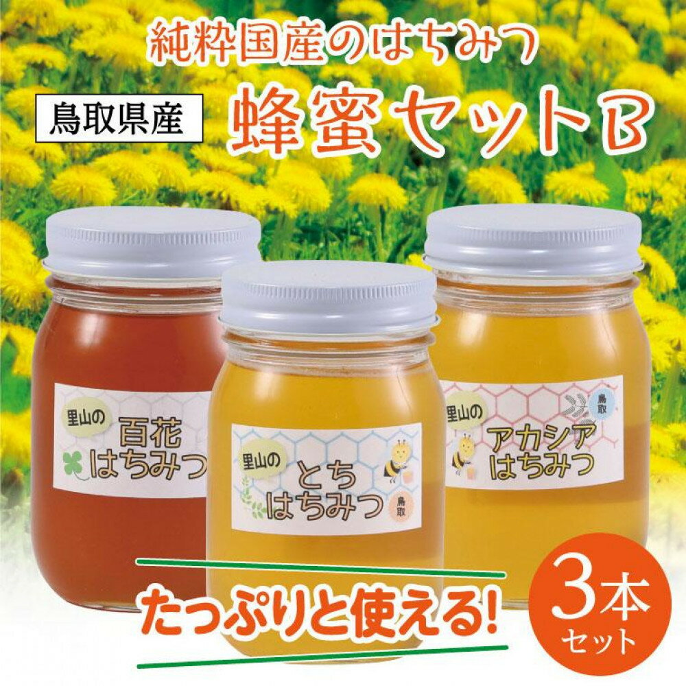 【ふるさと納税】蜂蜜セット B | 鳥取 はちみつ ハチミツ 蜂蜜 国産 送料無料 鳥取県 鳥取市