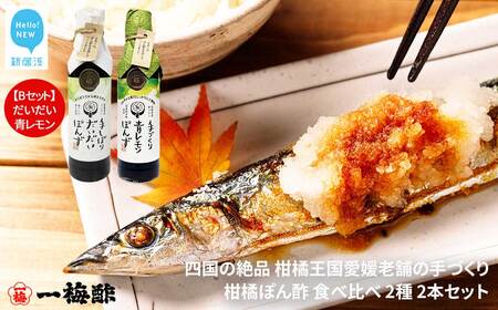 四国の絶品 老舗の手づくり 柑橘ぽん酢 食べ比べ 2種 200ml×2本 Bセット（だいだい・青レモン） 【一梅酢】 