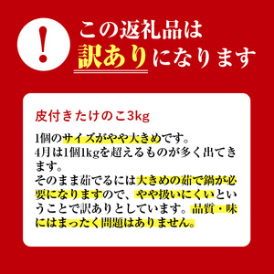 i500 ≪数量限定！先行予約受付中！2025年4月上旬～4月中旬の間に発送予定≫【訳あり】鹿児島県出水市産！タケノコ＜皮付き3kg＞【訳あり】鹿児島県出水市産！タケノコ＜皮付き3kg＞【イーサイドラ