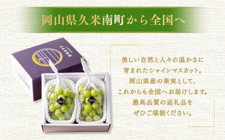 【種なし】岡山県産 シャインマスカット 計約1kg箱 2房入り マスカット ぶどう ブドウ 葡萄 フルーツ 種無し【2026年10月上旬-11月下旬発送予定】