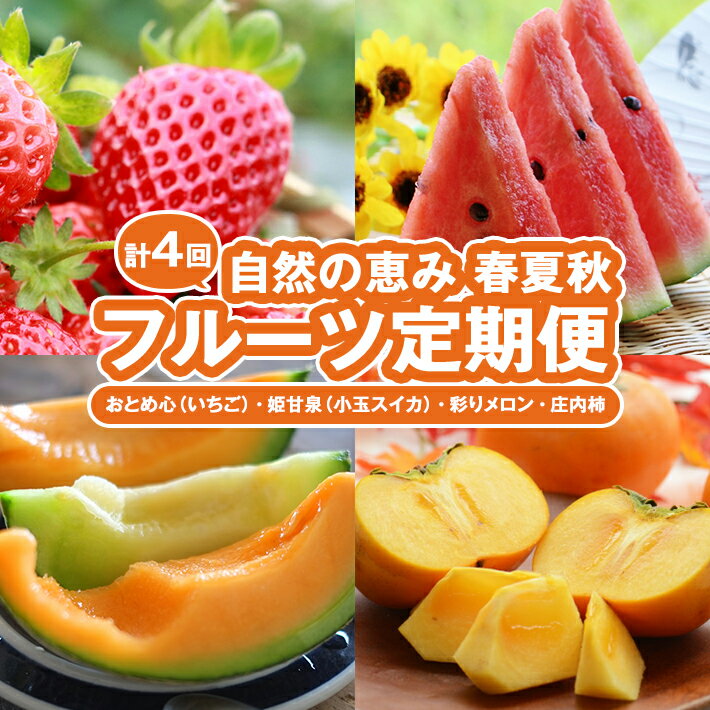 【ふるさと納税】≪4回定期便≫ 自然の恵み 春・夏・秋フルーツ定期便(3)2026 4月下旬〜5月下旬:おとめ心(いちご) 6月下旬～7月上旬:姫甘泉(小玉スイカ) 7月中旬～7月下旬:彩りメロン(青肉・赤肉) 10月中旬〜11月下旬:庄内柿 計4回 山形県酒田産 ※着日指定・離島発送不可