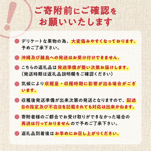 【2025年9月上旬以降発送分先行予約】プルーン 400g×4パック 甘くてジューシー 余市産 生プルーン 国産 老化防止 鉄分 スムージー ジャム 冷蔵 小分け パック フルーツ 果物 季節限定 お