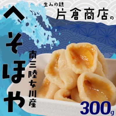 ふるさと納税 岩沼市 へそほや 300g(150g×2パック)