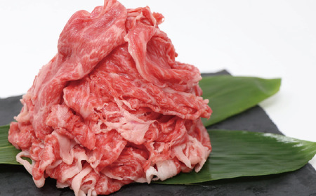 能登牛しゃぶしゃぶにも 600g 切落し・牛しゃぶ【黒毛和牛】［TC007］