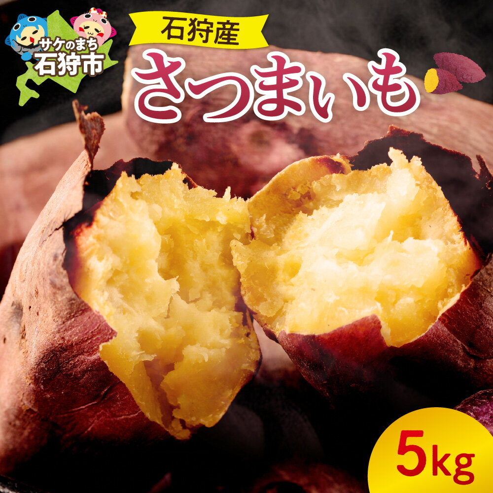 【ふるさと納税】《レビューキャンペーン》サツマイモ 芋 おいも 野菜　【2025年度産：10月〜発送】石狩産さつまいも（5kg）　石狩市 いしかり 北海道産 北海道 道産 旬 高糖度 農産物 焼き芋 ヤキイモ 焼きイモ 石焼きイモ いも おやつ まとめ買い 美味しい 野菜 根菜