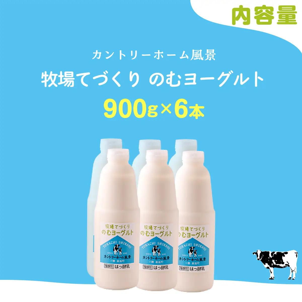 のむヨーグルト 900g ×6 SKB039