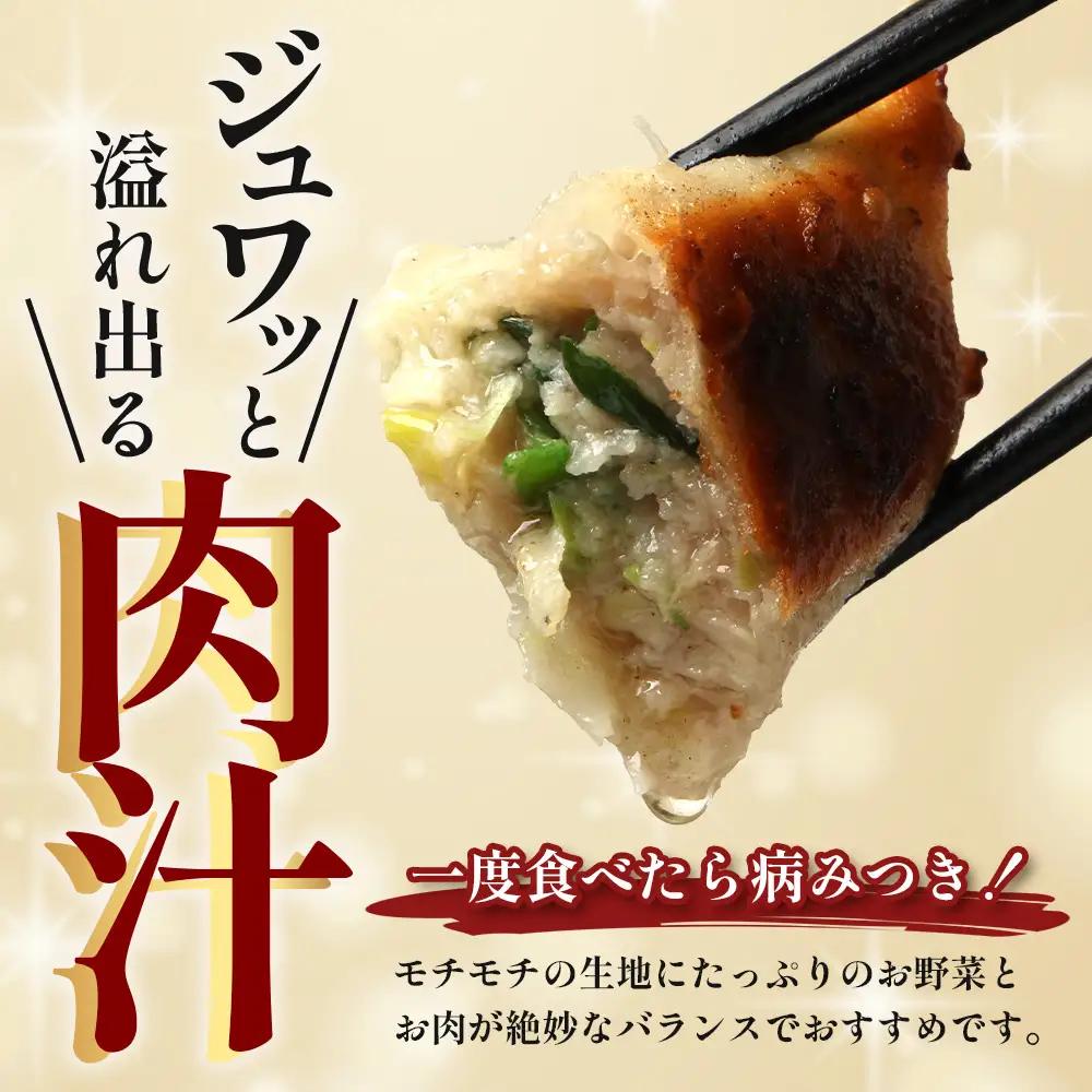 鹿児島県産 ひかり麦豚 ＼＼ちょっと大きな  餃子 42個セット／／ HM-707 | ぎょうざ ギョウザ 食べ応え抜群 焼き餃子 水餃子 おかず お弁当 冷凍 トレー無し 産地直送 鹿児島県 南大隅
