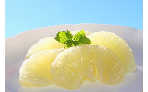 成田果樹園の土佐文旦 5kg (大玉・家庭用) 3L～5L 混合 成田果樹園 文旦5kg 3L 4L 5L 5キロ 大玉 文旦大玉 文旦4L 文旦5L 4l 5l  ぶんたん 文旦 柑橘 柑橘類 果物