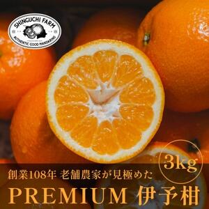 老舗農家が見極めたプレミアム【伊予柑3kg】【愛媛県川上産】【C70-94】【1671254】