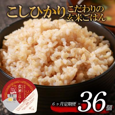 ふるさと納税 松原市 【毎月定期便】こだわり玄米ごはん 120g×36個 電子レンジで温めるだけのパックご飯全6回
