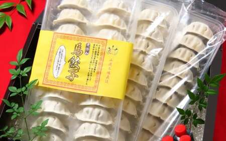 新感覚！ウマ肉うまうま餃子 20個入り×3パック 計60個入り 特性タレ付き 餃子 ぎょうざ ギョーザ 惣菜 おかず 加工食品 馬肉 冷凍