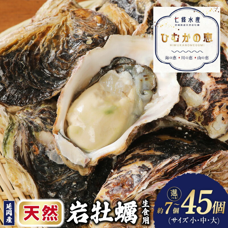 【ふるさと納税】期間限定 天然 岩牡蠣 生食用 選べる サイズ × 内容量 小 ～ 大 3kg ～ 10kg 延岡産 生牡蠣 牡蠣 殻付き 海鮮 国産 産地直送 海のミルク 繊細 ジューシー 極濃厚 クリーミー 栄養豊富 アレンジ バター炒め 冷蔵 宮崎県 延岡市 お取り寄せグルメ 送料無料