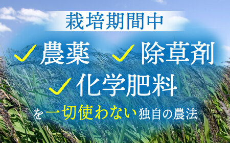 【全3回定期便】穀物三昧 200g×2袋【葦農】 HAJ019 雑穀米 古代米 