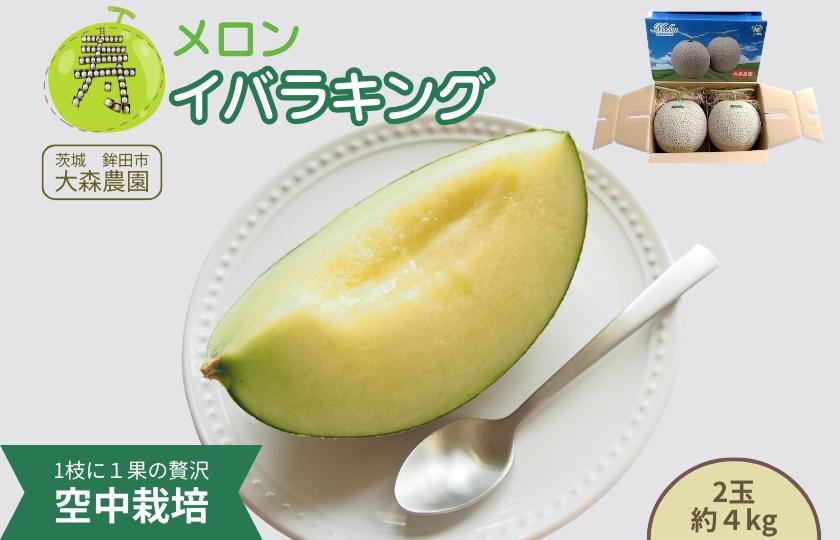 
            寿メロン 「空中栽培」で栽培した贅沢な イバラキングメロン  アンテナ付き 2玉 計約4kg メロン 大森農園 先行予約 フルーツ先行予約 メロン先行予約

          