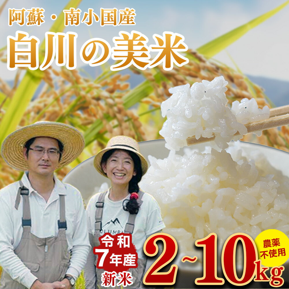 【ふるさと納税】令和7年産・新米 白川の美米 2kg/5kg/10kg 令和7年産 南小国産 玄米 白米 3分づき 5分づき 7分づき 森のくまさん 精米 米 お米 ご飯 ごはん 無農薬 農薬不使用 自然栽培 産地直送 白川自然農園 熊本 南小国 送料無料