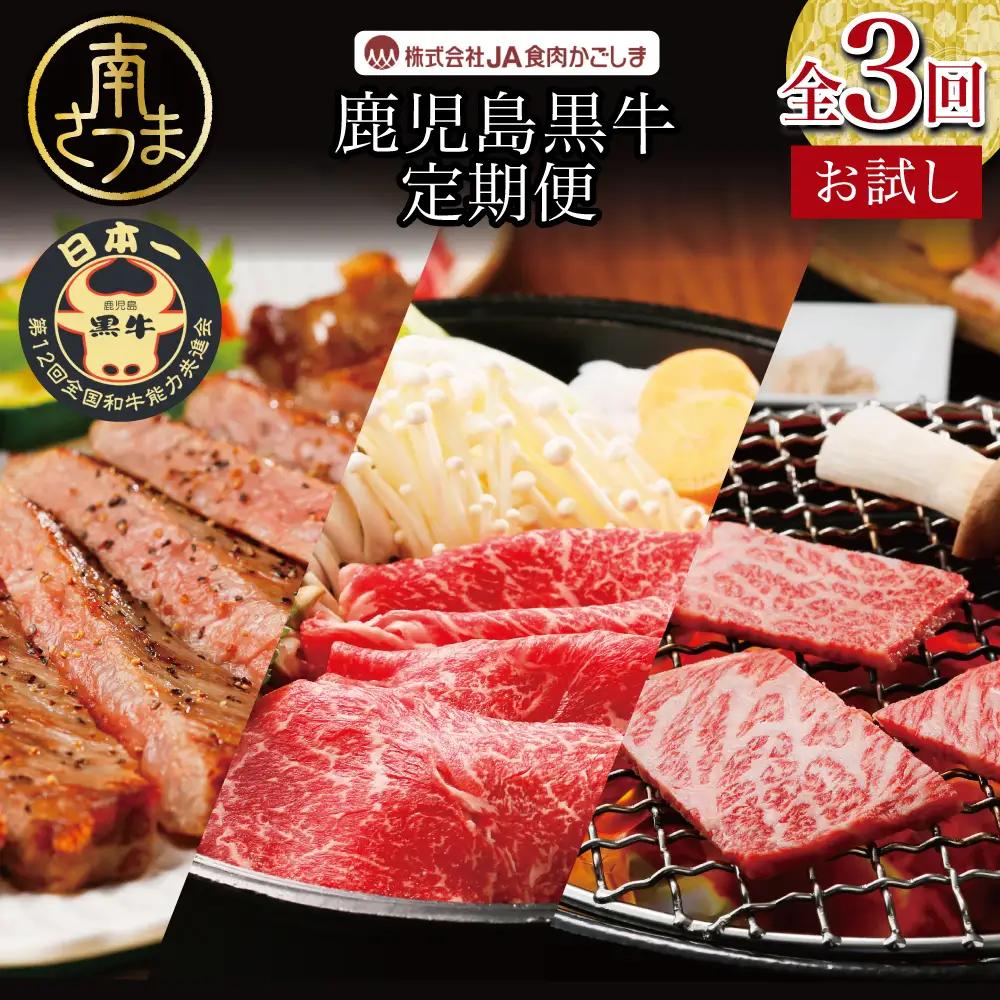 【JA食肉かごしま】鹿児島黒牛お試し定期便（全3回） 和牛日本一の「鹿児島黒牛」 お肉 ステーキ すき焼き しゃぶしゃぶ 国産 黒毛和牛 和牛 牛肉 冷凍 定期便 JA食肉かごしま 南さつま市