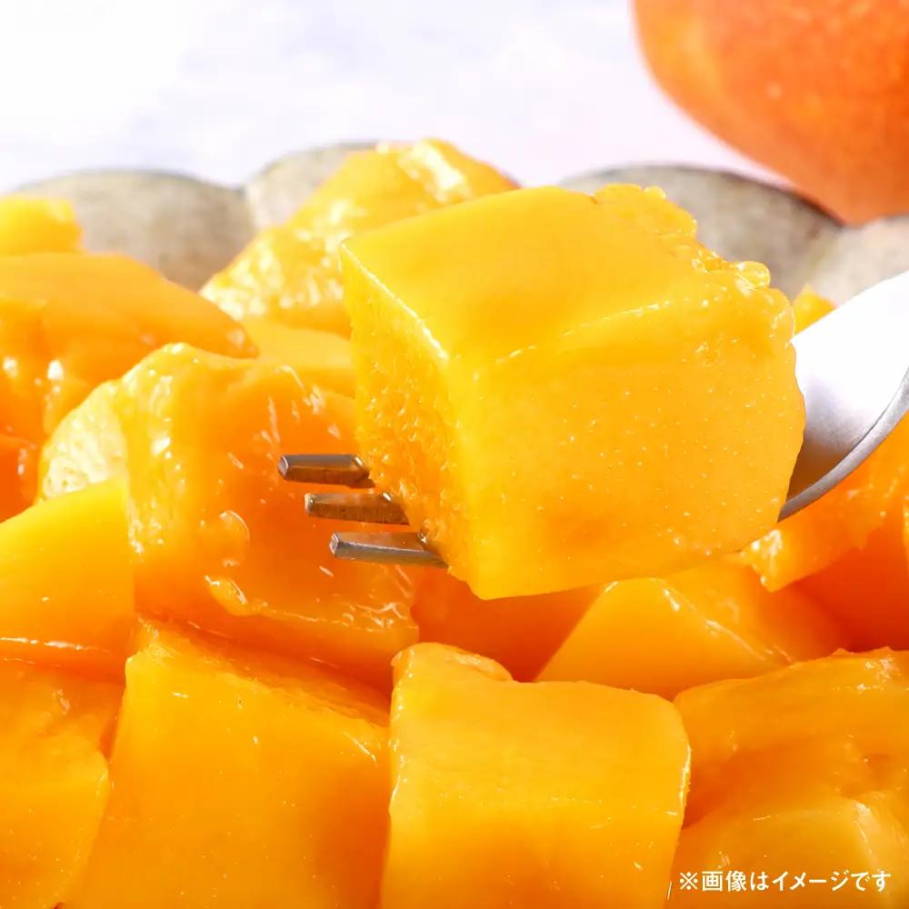 【先行予約】 【訳あり】 完熟マンゴー約1kg（2～3玉） 【宮本マンゴー農園】[AYDU001]