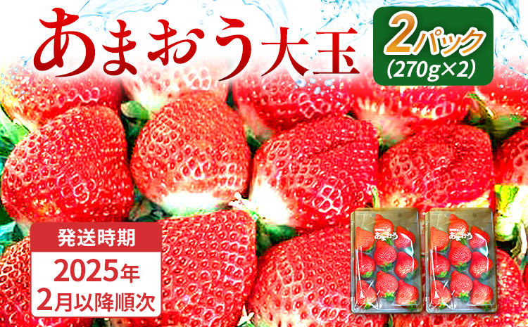 
            期間限定 いちご あまおう 苺 イチゴ 540g あまおう（大玉）、2パック（270g/パック）【2025年2月以降順次発送】 フルーツ 果物 くだもの 大玉 ※北海道・沖縄・離島は配送不可 大木町産 おおきベリー CT003
          