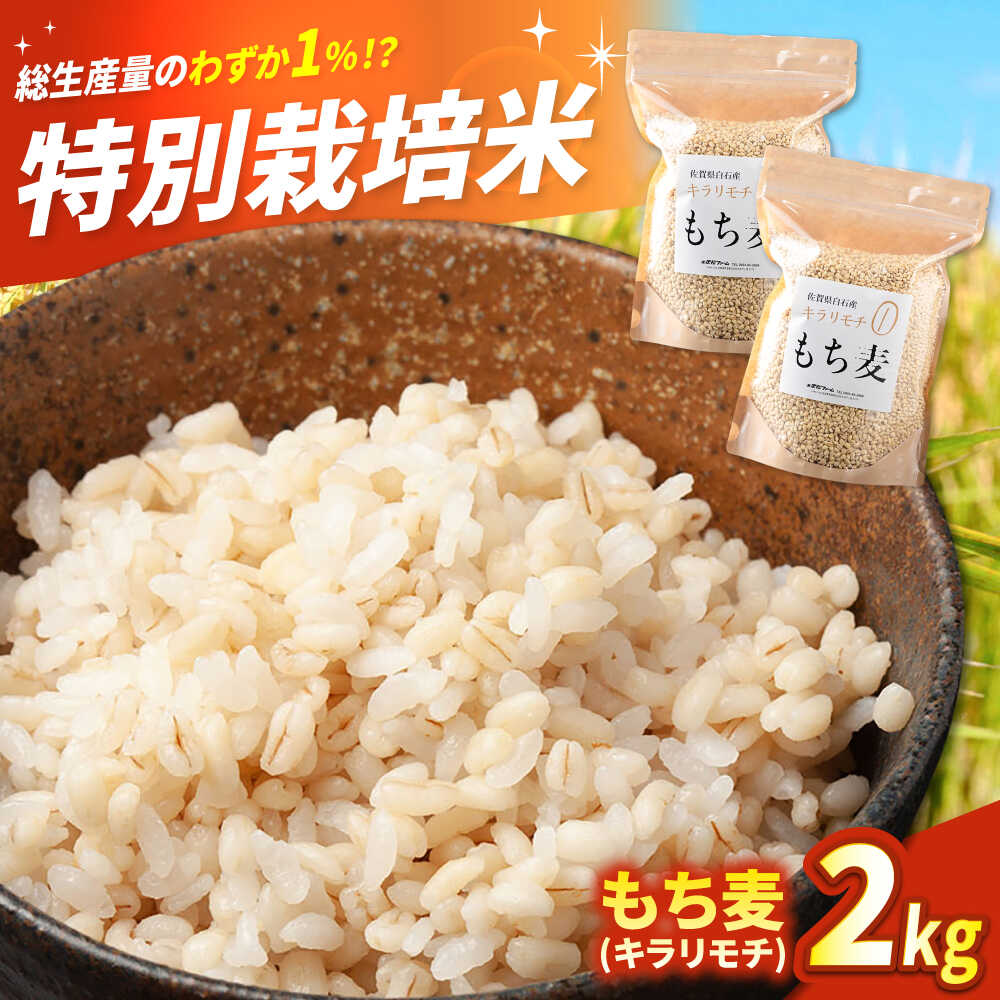 【ふるさと納税】 もち麦（キラリモチ）2kg 【有限会社定松ファーム】 もち麦 麦 もちむぎ キラリモチ ご飯 ごはん ふるさと納税 佐賀県 白石町 米 5kg [IBV007]