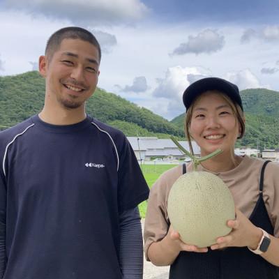 ふるさと納税 能勢町 8月初旬発送予定!　大阪府能勢町産　青肉メロン1玉×メロンピクルス2本セット　 |  | 02