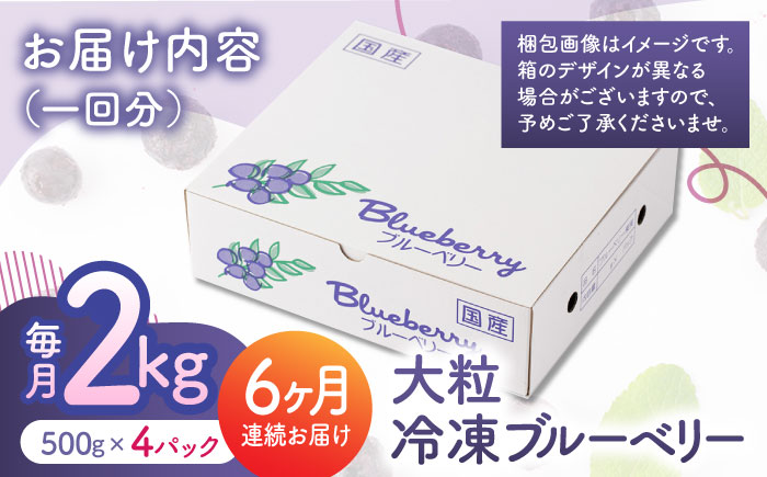 【6回定期便】大粒 冷凍ブルーベリー 約2000g（約500g×4pc） 【すみれファーム】 [ZEP017]