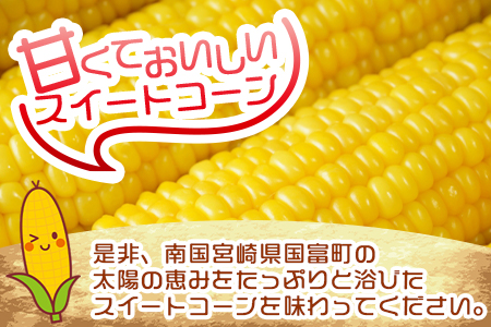 予約受付！＜朝採れ！国富町産ゴールドラッシュ4.5kg2Lサイズ13本＞2025年5月下旬～7月上旬迄に順次出荷【 とうもろこし スイートコーン 先行予約 野菜 穀物 甘い トウモロコシ 数量限定 】