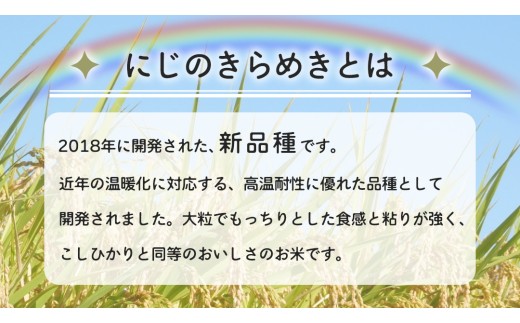令和7年産 にじのきらめき 15kg ( 5kg × 3袋 ) お米 ごはん 精米 コメ 白米 国産 茨城県 桜川市 銘柄米 [AX017sa] 15kg (5kg×3袋)