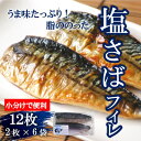 【ふるさと納税】無添加 塩さばフィレ 12枚(2枚×6袋)小分けで便利だからお弁当のおかずに!冷凍便でお届けします!【配送不可地域：離島】【1460887】