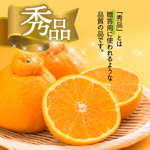 U6306_【2026年先行予約】不知火 しらぬい(デコポンと同品種) 秀品 15~30玉 和歌山県有田産