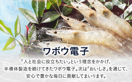 海ぶどうクリームコロッケ12個 滋賀県長浜市/ワボウ電子株式会社[AQBA020]