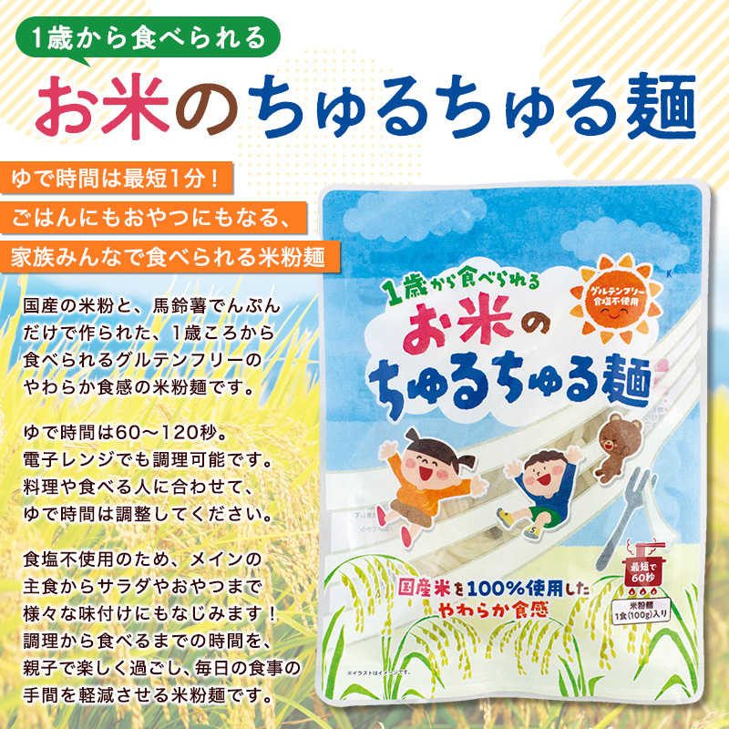 【米粉麺】お米のちゅるちゅる麺 100g×5袋 FY26-112
