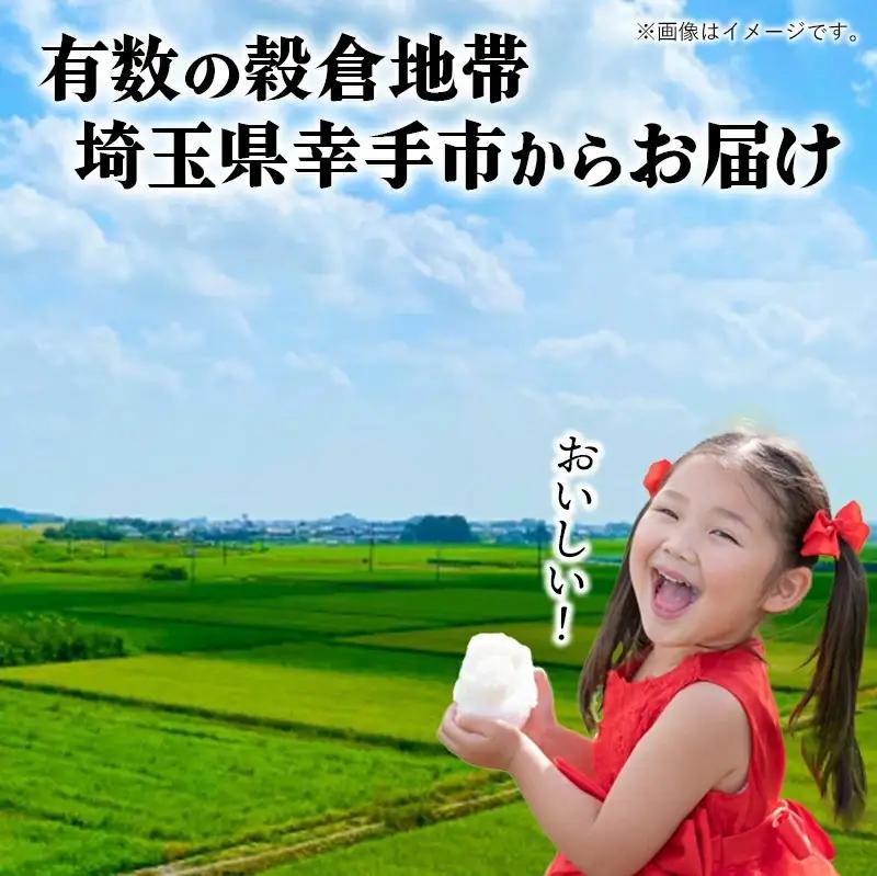 令和7年幸手産 こしひかり【精米】5㎏×2袋 - コシヒカリ 精米 10kg 令和7年産 埼玉県 幸手市 幸手市産