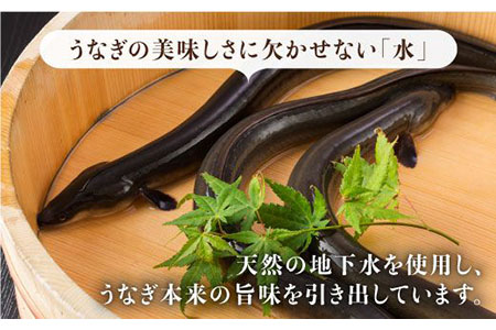 こだわりの国産うなぎ蒲焼・白焼3枚セット（うなぎ蒲焼2枚・白焼1枚）[FAD001]