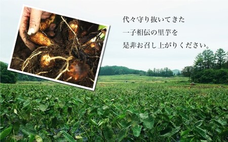 数量限定！伝承野菜『甚五右ヱ門芋（特選）』２ｋｇ　◆SH003-2025