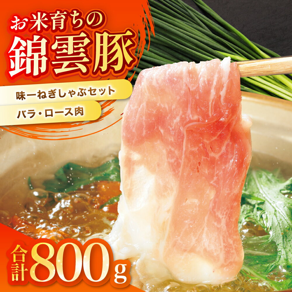 【ふるさと納税】錦雲豚 味一ねぎ しゃぶしゃぶ セット | 【冷蔵便】 豚バラ肉・ロース肉(800g) 小ねぎ 万能ねぎ 青ねぎ かぼすポン酢しょうゆ 詰め合わせ 九州産 国産 送料無料