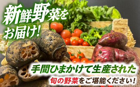 旬の野菜詰合せ 野菜 セット【配達不可：離島】[AEAE001]