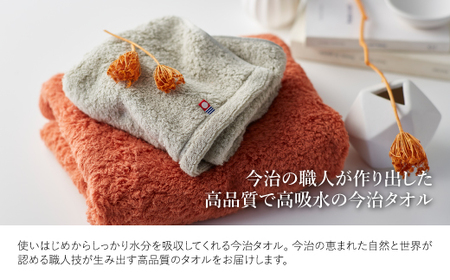 今治ふんわり雲羽タオル ミニバスタオル・フェイスタオルセット(BTテラコッタ、FTピスタチオグレー・各1枚) テラコッタ ピスタチオグレー 今治タオル 今治 日本製 高品質タオル 吸水性 抜群タオル 