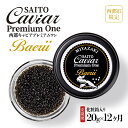 【ふるさと納税】【定期便】キャビアSAITO CAVIAR PREMIUM ONE BAERII（20g×12ヶ月）「西都限定」「国産」キャビア＜18-3＞西都市 化粧箱 シェルスプーン付