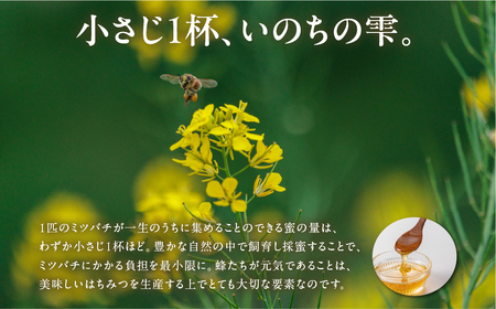 豊橋蜂蜜【kosaji】春はちみつ 300g 訳あり(100g×3) 蜂蜜 はちみつ 国産 常温 はちみつ ハチミツ 蜂蜜 ハニー 送料無料 愛知県 豊橋市
