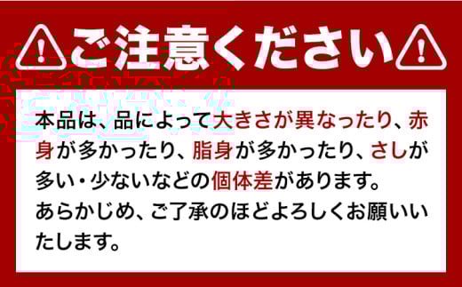 馬ひも 馬刺し用 320g (80g×4袋) 《90日以内に出荷予定(土日祝除く)》 熊本県 産山村 肉 馬ひも 馬肉