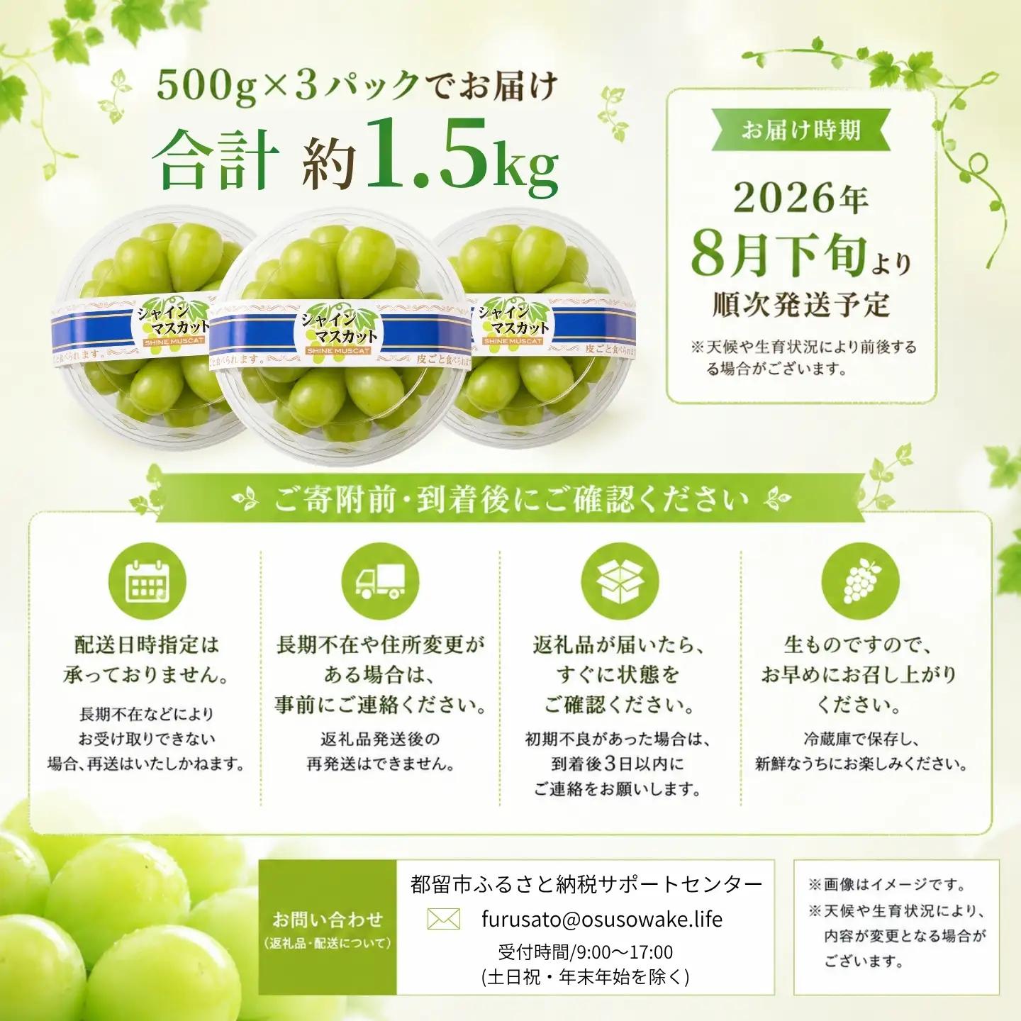 シャインマスカット（約1.5kg）【2026年先行予約】｜シャインマスカット フルーツ 【ふるなび限定】ご家庭用つぶつぶ　FN-Limited-SP