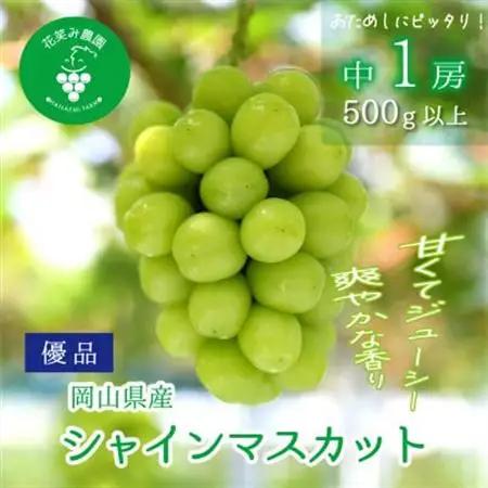 岡山　花笑み農園の『シャインマスカット』500g以上(中1房)S-中1【配送不可地域：離島】【1695403】