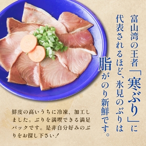 氷見ぶり三昧・極 鰤 ブリ 漬け ジャーキー 富山県 氷見市 