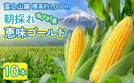 とうもろこし　恵味ゴールド　10本 ふるさと納税 とうもろこし トウモロコシ ジューシー 朝採りコーン 野菜 山梨県 鳴沢村 送料無料 NSAK002
