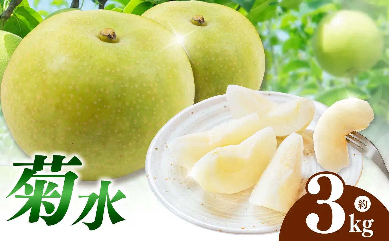 西江豊水園の菊水梨 約3kg ( 8個前後 ) | フルーツ 果物 くだもの 果実 数量限定 旬 完熟梨 梨 なし ナシ 菊水 菊水梨 和梨 3kg 3キロ 新鮮 産地直送 大分県産 九州産 国産 大分県 中津市