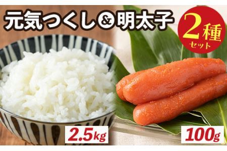 ご飯のおともセット(精米元気つくし2.5kg＋明太子100g)米 お米 白米 コシヒカリ キヌヒカリ 明太子 めんたいこ たらこ ごはんのお供 魚卵 魚介 海鮮＜離島配送不可＞【ksg0170】【南国フルーツ】