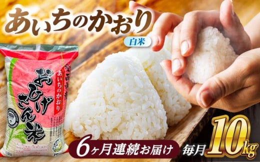 【6回定期便】あいちのかおり 白米 10kg×6ヵ月 愛西市 / 脇野コンバイン [AECP008]